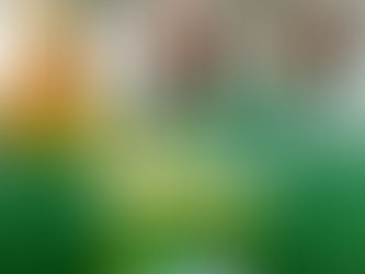 28 de outubro: Dia do Servidor Público!