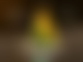 17 de novembro: Tratado de Petrópolis!