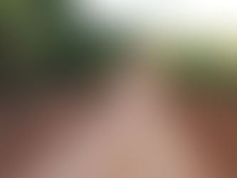 Operação Ramais 2024: Prefeitura de Assis Brasil inicia recuperação e melhoria de mais de mil quilômetros de ramais