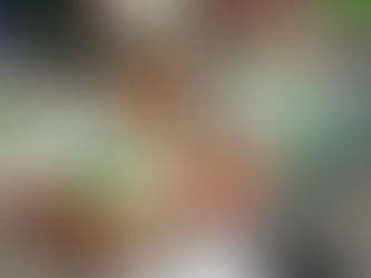 Prefeitura de Rodrigues Alves inicia entrega de Kits escolares na rede Municipal