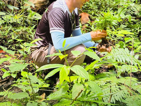 Educação ambiental: compromisso com o presente e o futuro de Marechal Thaumaturgo