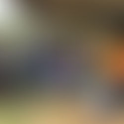 Avanços importantes para a agricultura familiar de Acrelândia