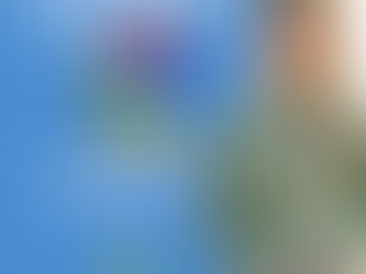 02 de abril: Dia Mundial do Autismo