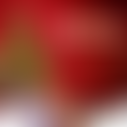 Feliz Natal e boas festas