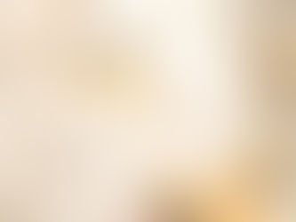 1º de janeiro: Feliz Ano Novo!