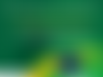 15 de novembro - Proclamação da república