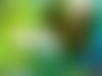 5 de setembro: Dia da Amazônia!