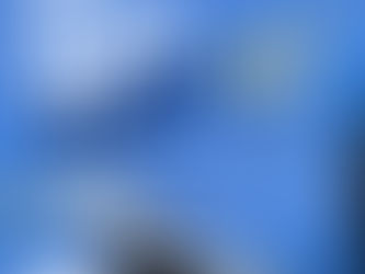 15 de março: Dia do Consumidor