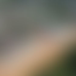 Prefeitura de Assis Brasil garante mais 97 unidades habitacionais para famílias do município