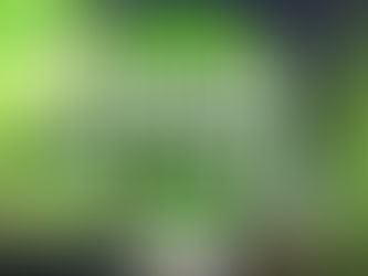 3ª Edição do Luau 2025 - Confira as fotos!