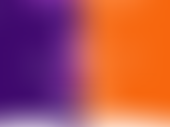 Campanha Fevereiro Roxo e Laranja