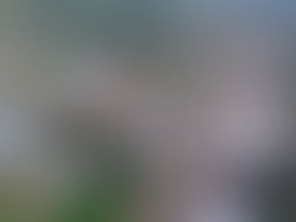 Acrelândia o município mais promissor do Estado do Acre