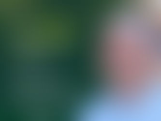 Parabéns, Prefeito!