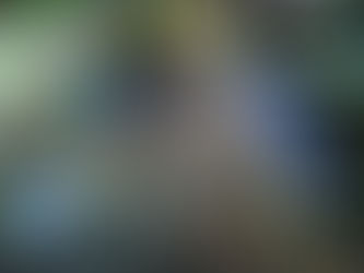 Foliões lotam avenida Raimundo Chaar ao lado da praça central na primeira noite de Carnavassis