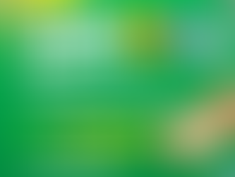 Sextou com a primeira parcela do 13º na conta dos servidores de Assis Brasil