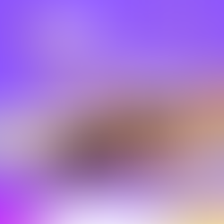 Prefeitura divulga Campanha de Conscientização a violência contra mulher