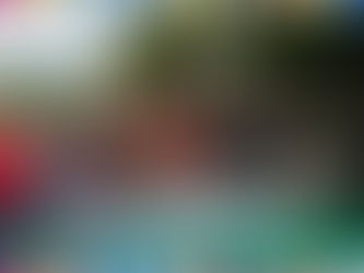 Defesa Civil finaliza trabalho de distribuição de cestas básicas para famílias vulneráveis