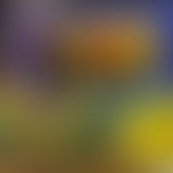 Prefeitura promove 1º campeonato intersecretaria 2022