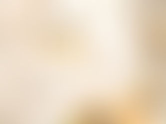 1º de janeiro: Feliz Ano Novo!