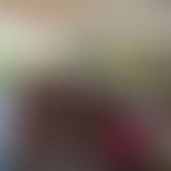 Comunidade do Assentamento Walter Acer celebra a inauguração da Unidade Básica de Saúde