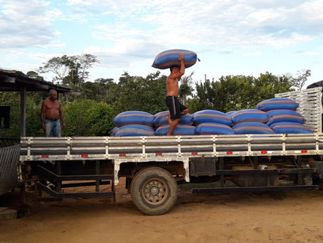 Produtores de café recebem apoio da Prefeitura de Brasiléia