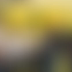 Prefeitura de Acrelândia Promove Ação de Amor e Reconhecimento à Pessoa Idosa