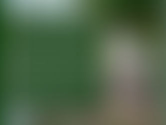 Prefeitura de Senador Guiomard realiza desinfecção em locais com maior circulação