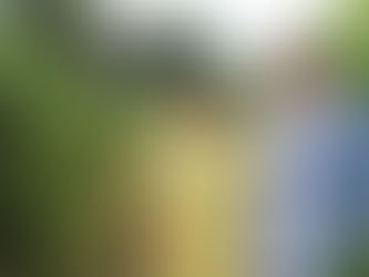 Produção de café: Prefeito Jerry Correia incentiva o Cultivo do Café e visita produtores rurais