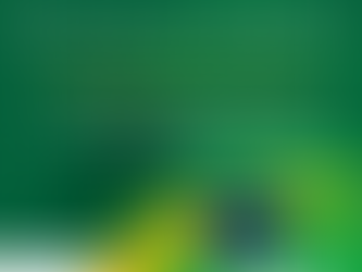 15 de novembro - Proclamação da república