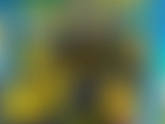 Projeto de Leitura encanta crianças na Escola Menino Jesus em sábado letivo especial