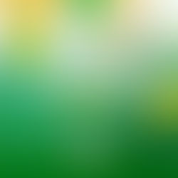 06 de agosto: 123 anos do início da Revolução Acreana