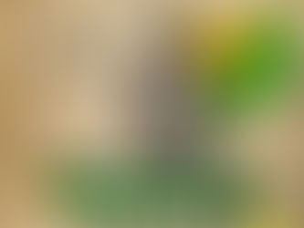 06 de agosto: 122 anos de Revolução Acreana