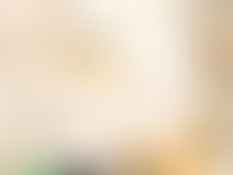 1º de janeiro: Feliz Ano Novo!