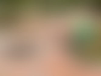 Operação Verão continua beneficiando bairros e ramais em Brasileia