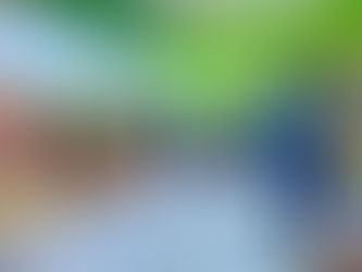 Prefeito entrega nova Escola Marnízia Cruz na Villa Triunfo, Baixo Juruá na zona rural