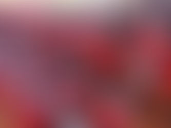 Prefeitura de Acrelândia realiza entrega histórica de equipamentos agrícolas e reforça apoio à agricultura familiar