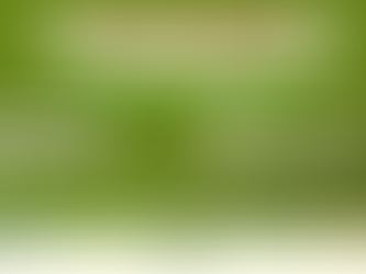 PP N°004/2025 - Aviso de Reabertura