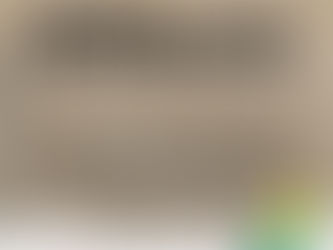 17 de novembro: Tratado de Petrópolis