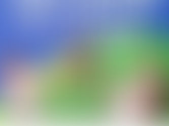 Prefeitura de Senador Guiomard realiza entrega das 1° carteirinhas as crianças autistas do município