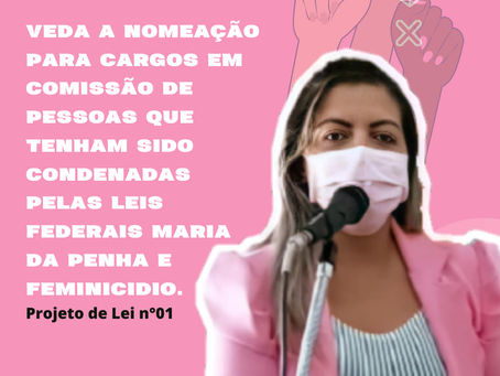 Vereadoras comemoram aprovação de projeto de Lei