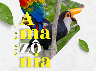 Preservação e Orgulho: O Brasil celebra o Dia da Amazônia neste 5 de setembro