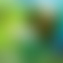 5 de setembro: Dia da Amazônia!