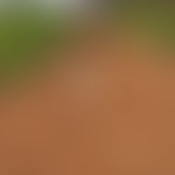 Prefeitura de Acrelândia realiza importante reparo em ponte de tora no ramal Linha 1