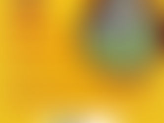 Informe Dengue: Mantenha o seu quintal limpo e garanta sua saúde e de sua família e vizinhos