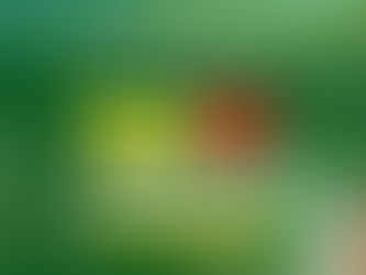 28 de dezembro: Aniversário de Rio Branco