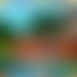 Avenida Castelo Branco recebe reparos em via que dá acesso ao parque buritizal 