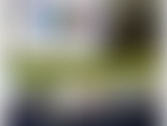 Capixaba participa da III Conferência Estadual dos Direitos da Pessoa com Deficiência