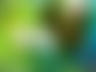 5 de setembro: Dia da Amazônia!