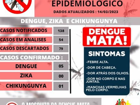 1º Boletim Epidemiológico da Dengue (14/03/2023)