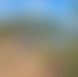 Bujari: Governo Municipal e Estadual trabalham para garantir o abastecimento de água no município